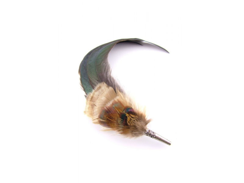 Hicks and Brown Coque and Phesant Feather Brooch
